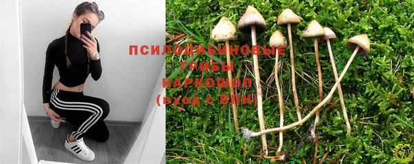 хмурый Балабаново